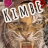 kimbe