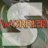 Worrier